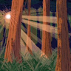 Meet your Posher, Violet